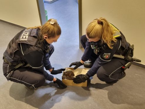 Polizeibeamtinnen kümmern sich ums Fuchsbaby